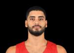 梅特纳尼
